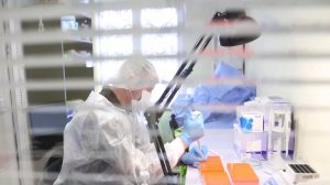 В Запорожье за ​​год установили судьбу более 600 пропавших без вести