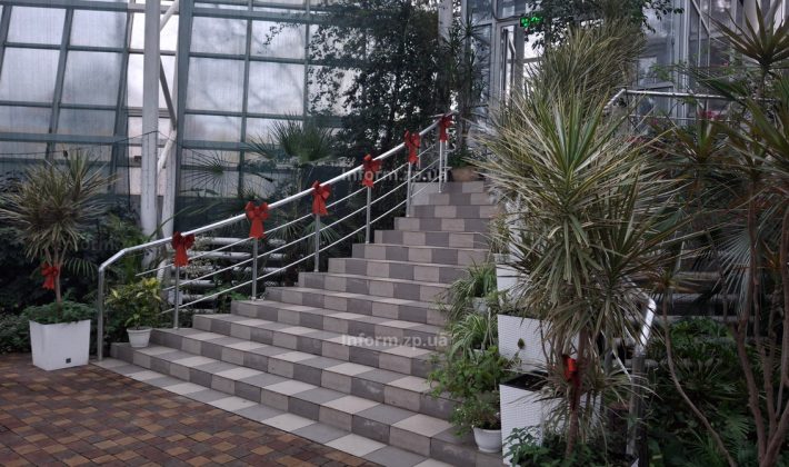 В Запорожье открыли новогоднюю фотозону в ботаническом саду (ФОТО)