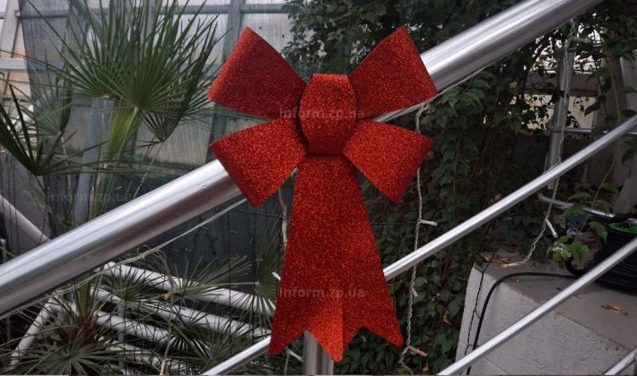 В Запорожье открыли новогоднюю фотозону в ботаническом саду (ФОТО)