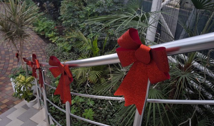 В Запорожье открыли новогоднюю фотозону в ботаническом саду (ФОТО)