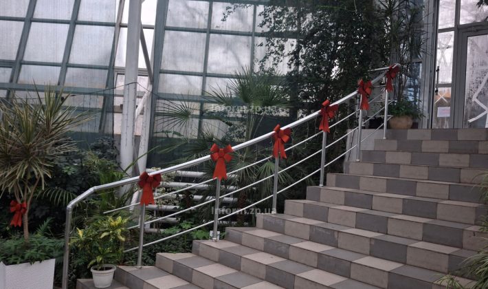 В Запорожье открыли новогоднюю фотозону в ботаническом саду (ФОТО)