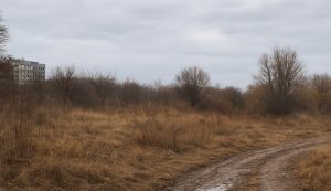 56 м² сміття: у Запоріжжі розчистили несанкціоноване звалище