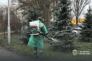 В Запорожье начали антивандальную обработку ёлок к праздникам: где именно