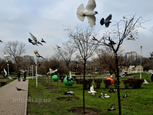 Підсумки дня у Запорізькій області