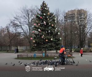 В одном из районов Запорожья с ёлки исчезли игрушки