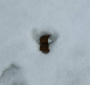 У Запорізькому районі почали знаходити протипіхотні міни (ФОТО)