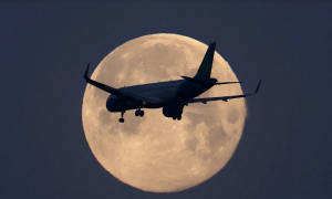 В Запорожье можно будет наблюдать Волчье Суперполнолуние: когда именно