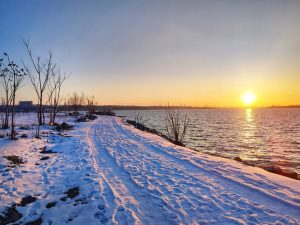 Спека до +37: 2025 рік увійшов у ТОП-5 найтепліших у Запоріжжі