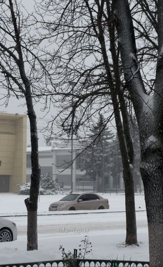 Запоріжжя засипає снігом