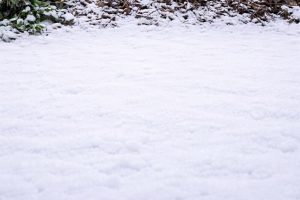 В одному з районів Запоріжжя ліквідували стихійне сміттєзвалище