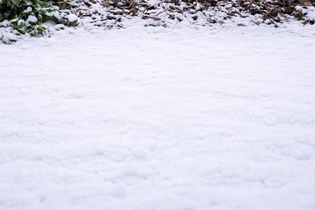 У Заводському районі Запоріжжя ліквідували стихійне сміттєзвалище