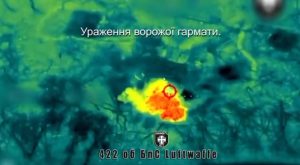 Військові ЗСУ знищили російську гармату на Запорізькому напрямку (ВІДЕО)