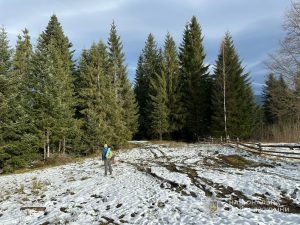Житель Запоріжжя організував незаконний перехід призовника до Румунії