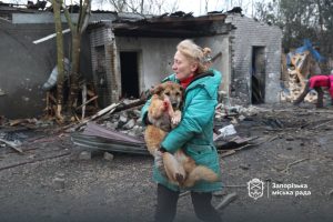 Приют «Дай лапу, друже» в Запорожье больше не принимает животных и меняет концепцию