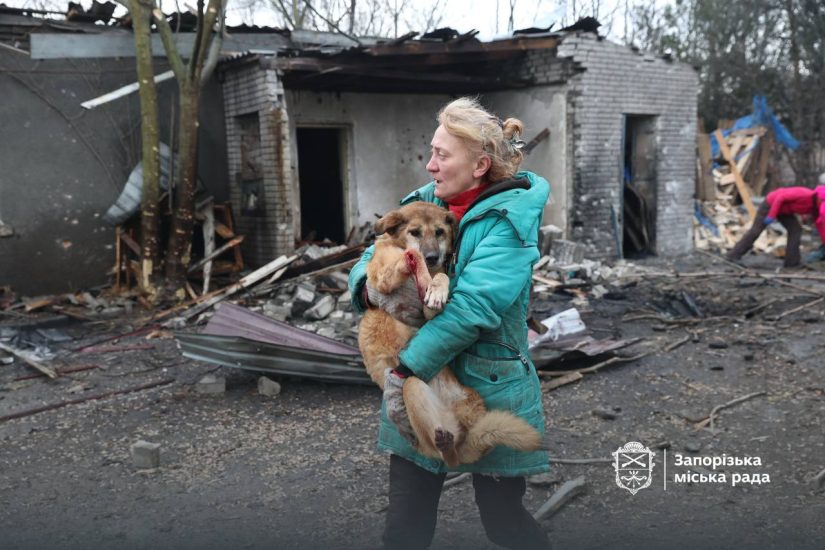 Приют «Дай лапу, друже» в Запорожье больше не принимает животных и меняет концепцию