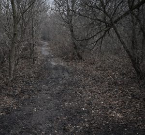 Балку Поповка в Запорожье очистили от строительных отходов, — Госэкоинспекция