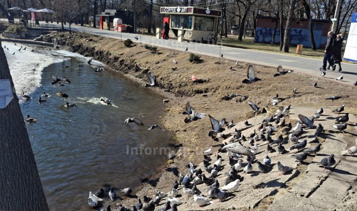 Разрушеные лестницы, ржавые изгороди и замерзший водоем: как выглядит запорожская «Дубовка» (ФОТО)
