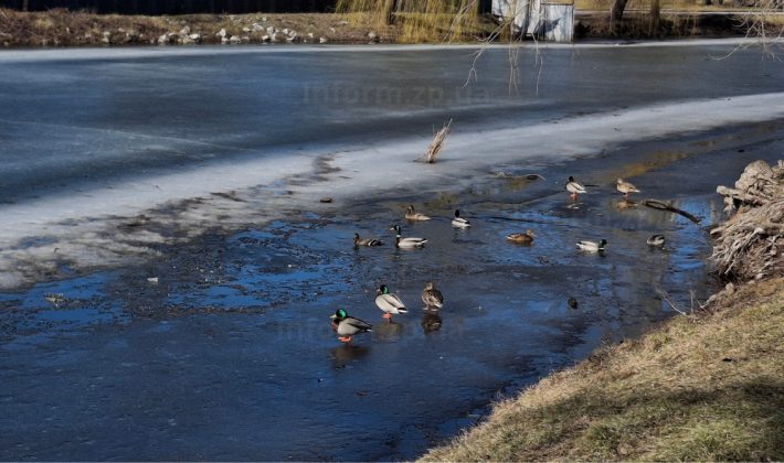 Разрушеные лестницы, ржавые изгороди и замерзший водоем: как выглядит запорожская «Дубовка» (ФОТО)