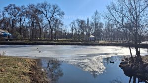 Итоги дня в Запорожской области