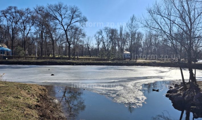 Разрушеные лестницы, ржавые изгороди и замерзший водоем: как выглядит запорожская «Дубовка» (ФОТО)