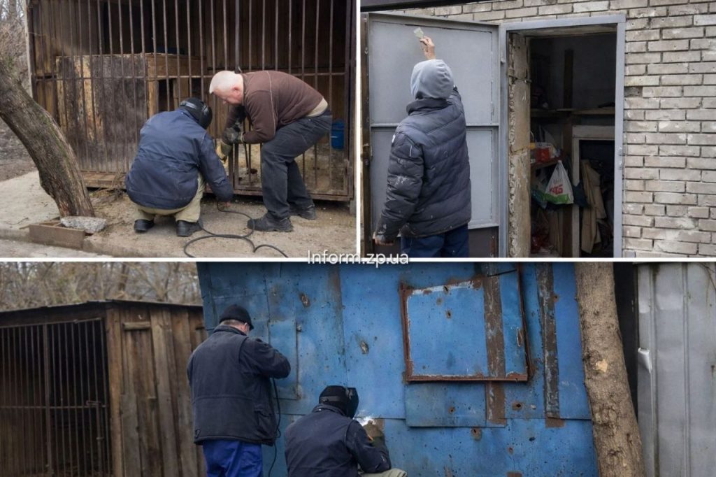 Як у Запоріжжі відновлюють притулок для тварин після обстрілів