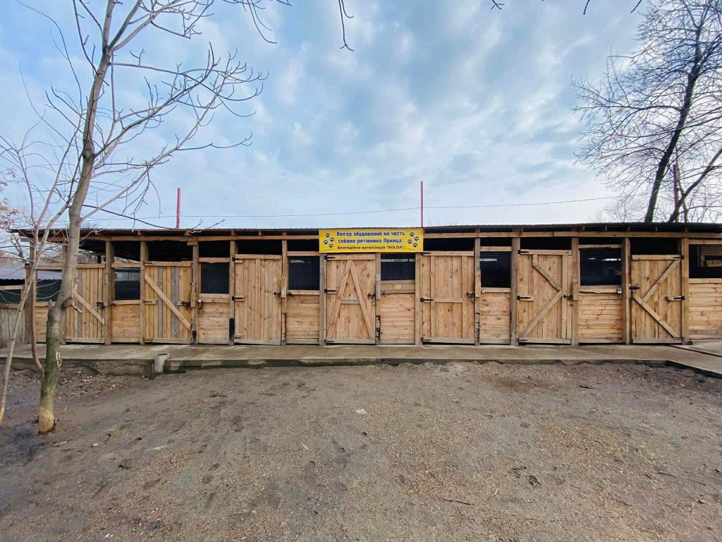Як у Запоріжжі відновлюють притулок для тварин після обстрілів