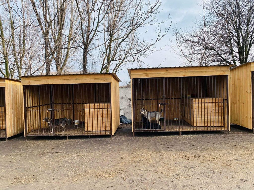 Як у Запоріжжі відновлюють притулок для тварин після обстрілів