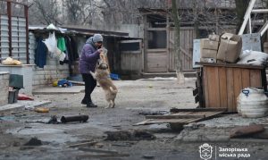 В результате обстрела Запорожья есть попадание в приют: как помочь