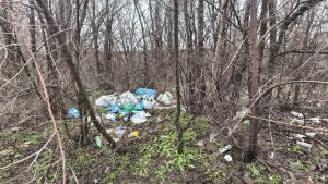 Экоинспекторы обнаружили свалку в Запорожье: что известно