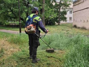 В Запоріжжі витратять понад 3 млн грн на покіс трави та дерева: тендер