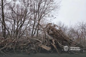 Переселенцы убрали 4 гектара стихийной свалки в Алюминиевой балке Запорожья