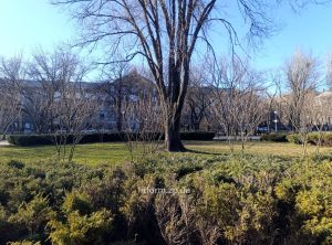 Підсумки дня у Запорізькій області