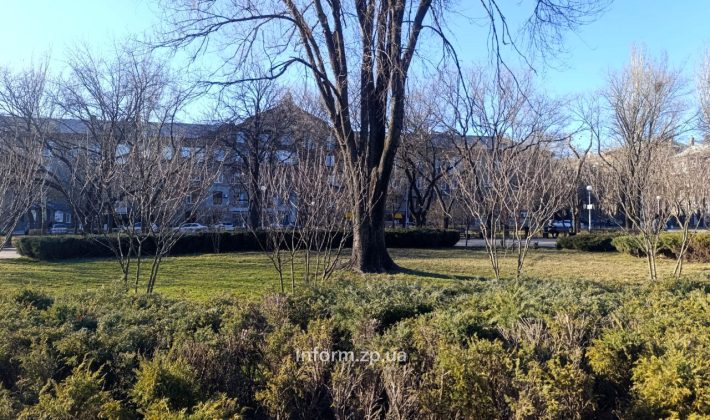 Как выглядит сквер в Запорожье, который назвали Художественным (ФОТО)