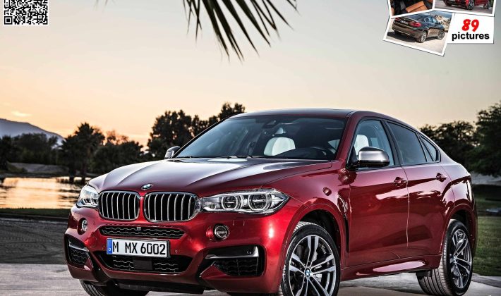 Дома в Карпатах, квартира в Киеве, автомобили: что в декларации у брата Ивана Федорова