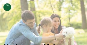 У Запоріжжі проходить опитування про потреби містян щодо парків і скверів під час війни