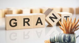 Гранты до 200 тысяч: как молодежи Запорожья и области получить средства на свои идеи