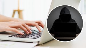 Шахрайство на допомозі тваринам: у Запоріжжі викрили фейковий збір коштів