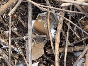 В Розумовке Запорожской области обнаружили мину типа «лепесток»: что известно