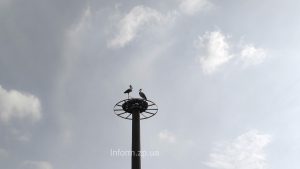 Итоги дня в Запорожской области