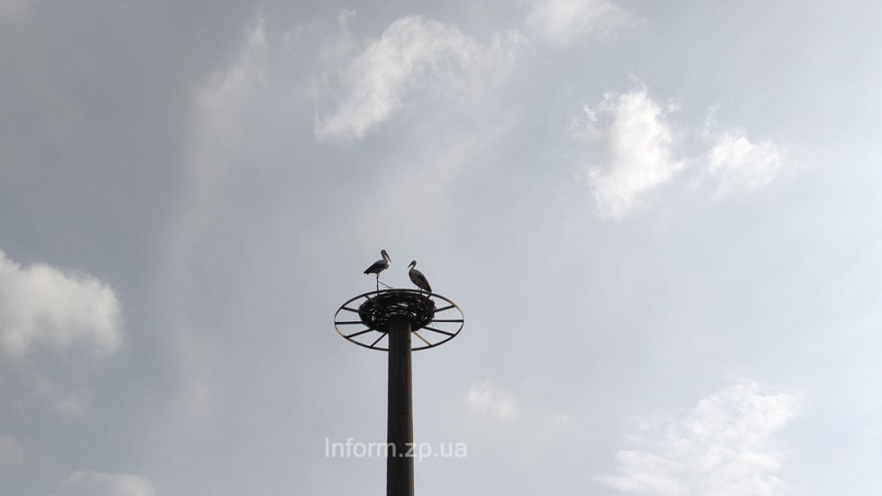 Итоги дня в Запорожской области