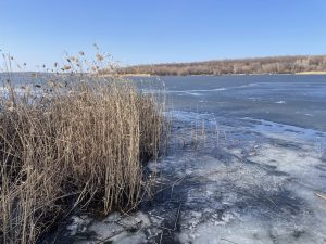 Запорожье затянет облаками: прогноз погоды на неделю