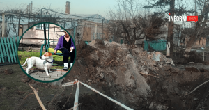 Две ложки, сервиз и самое необходимое: как супружеская пара пенсионеров из Заречного эвакуировалась в Запорожье вместе с собакой Майкой