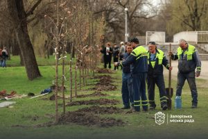 У Запоріжжі в Дубовці висадили 100 дубів через масову загибель дерев