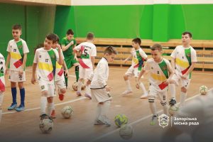 У Запоріжжі вперше зробити ремонт спорткомплексу «Титан»: вартість (ФОТО)