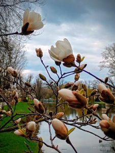 Чи варто вирушати на природу: прогноз погоди для запоріжців на вихідні