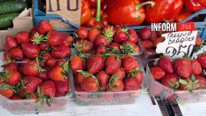 От 150 до 280 гривен: на рынках Запорожья появилась ранняя клубника (ФОТО)