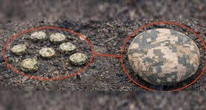 Жителей Запорожской области предупреждают о новом типе мин: их маскируют под камни или грунт (ФОТО)