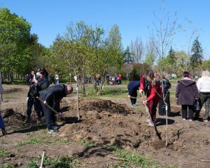 На Хортиці висадили дерева в «Парку Честі» (ФОТО)