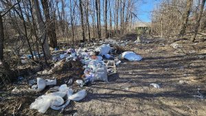 В Запорожье возле перекрестка обнаружили стихийную свалку (ФОТО)