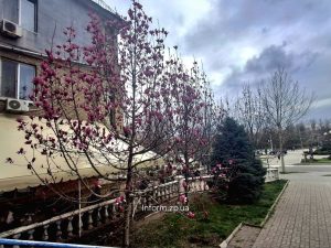 Погода в Запорожье на неделю: дожди и похолодание